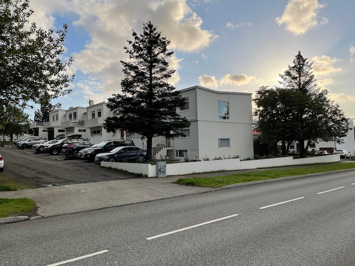 Your place near city centre in heart of Reykjavik Apartments for Rent