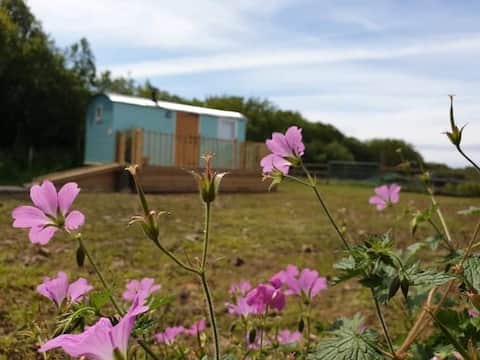 Beautiful, fully equipped Shepherds Hut.