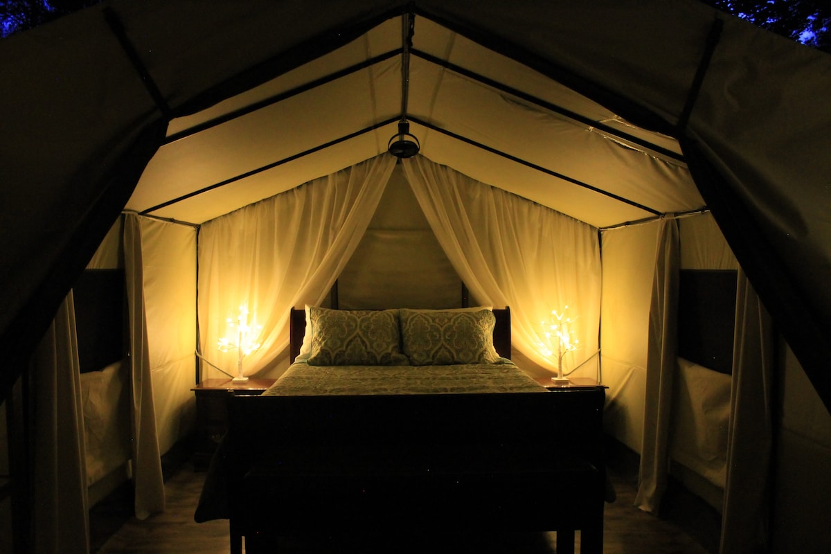 Your own private oasis in the forest