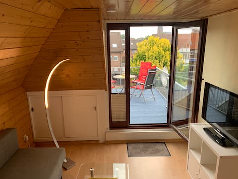 cozy attic apartment/2 rooms with balcony
