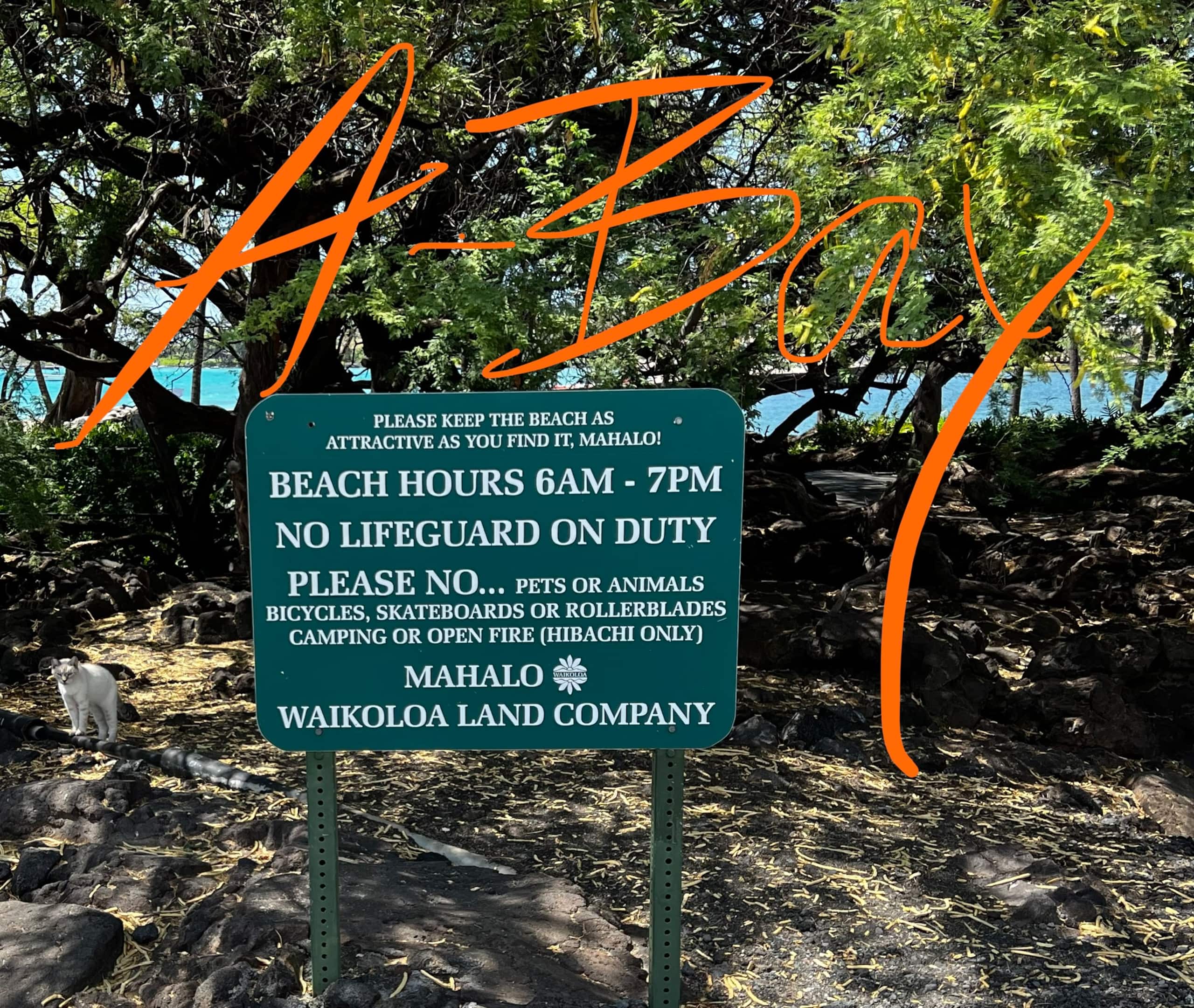 Townhouse in Waikōloa Beach · ★5.0 · 2 bedrooms · 2 beds · 2.5 baths - Photo 27