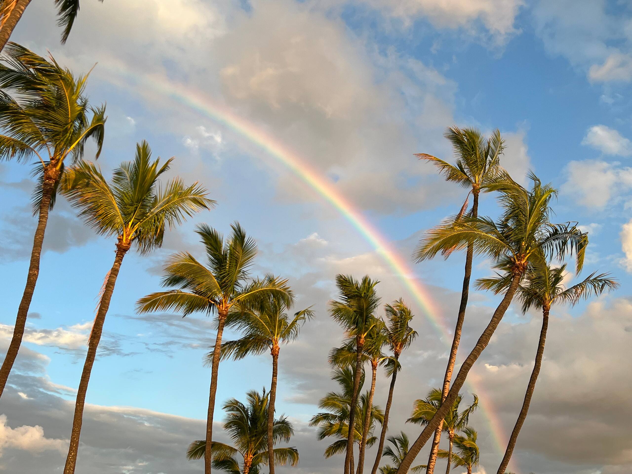 Townhouse in Waikōloa Beach · ★5.0 · 2 bedrooms · 2 beds · 2.5 baths - Photo 31