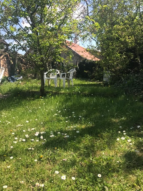 A grassy area is highlighted by scattered white daisies, creating a natural setting. Two white plastic chairs are positioned beneath a tree, providing a shaded spot. In the background, a building with a red roof is partially visible, surrounded by greenery.