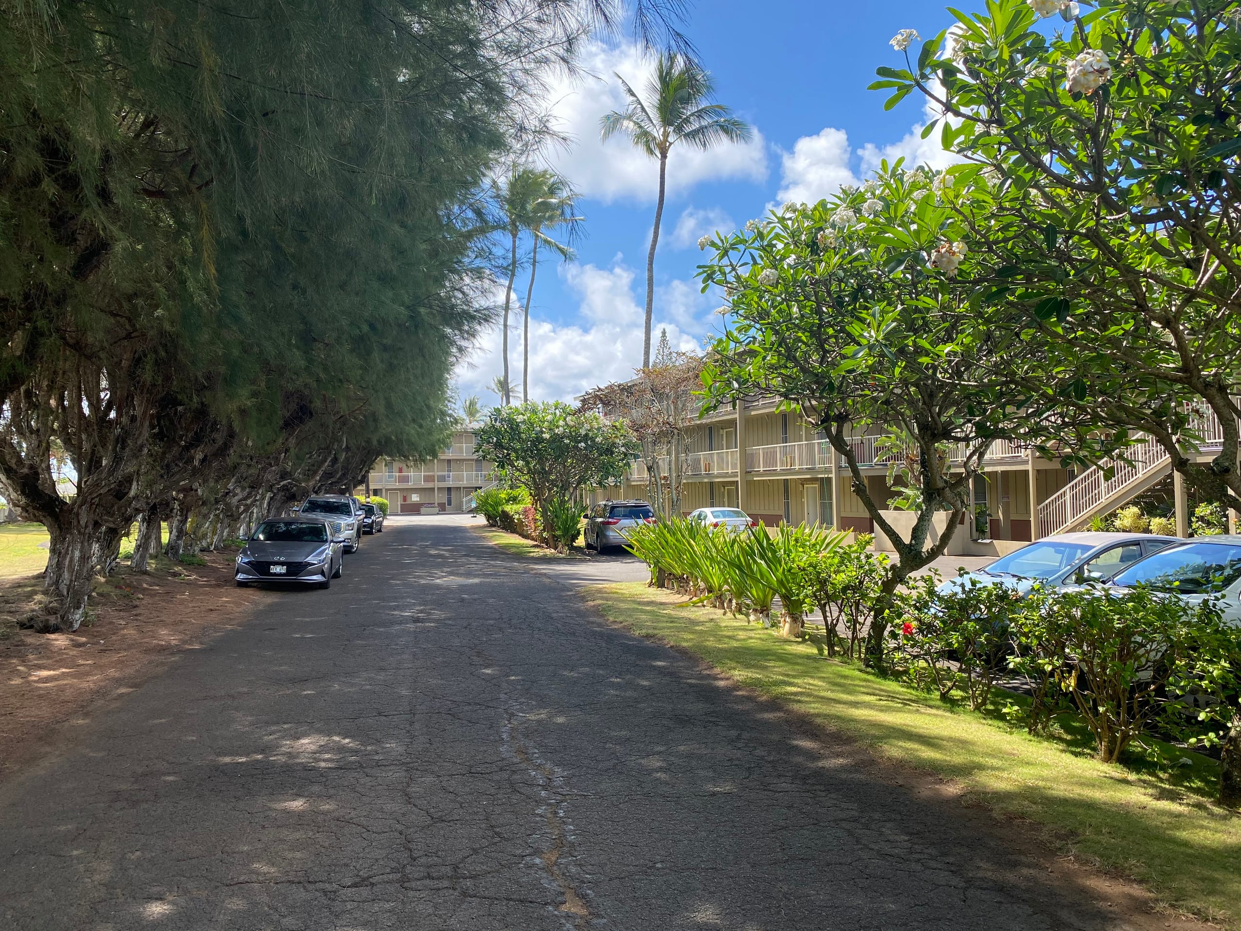 Condo in Kapaa · ★4.97 · 2 bedrooms · 2 beds · 1 private bath - Image 33