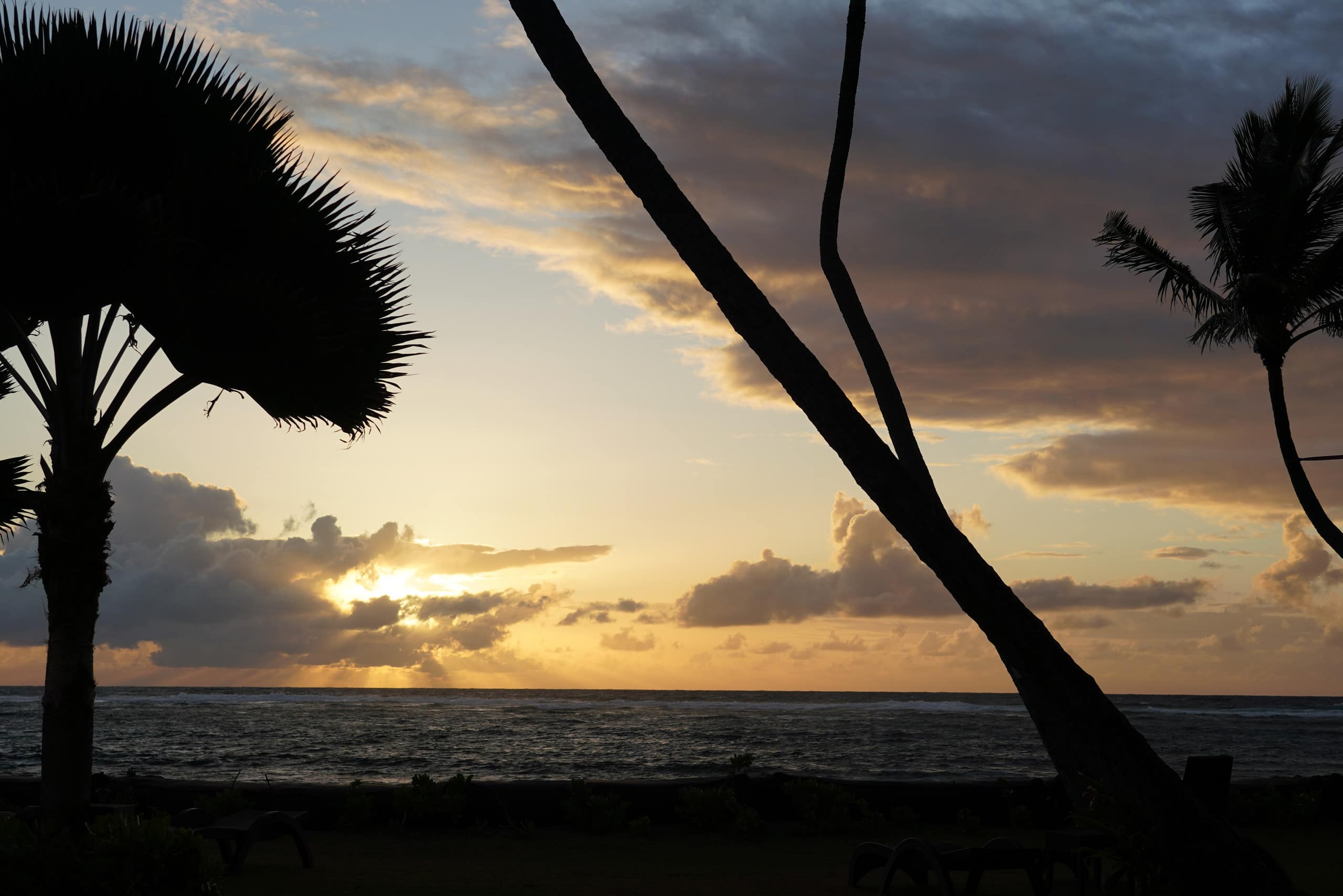 Condo in Kapaa · ★4.97 · 2 bedrooms · 2 beds · 1 private bath - Image 42