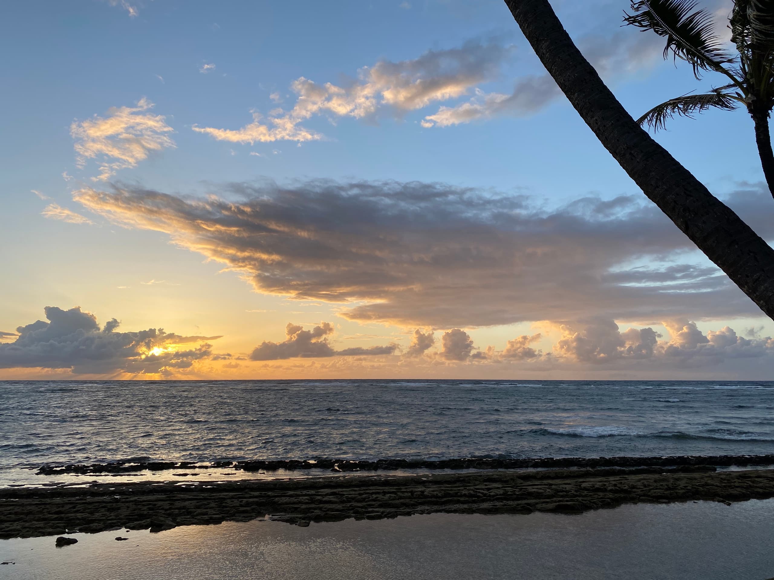 Condo in Kapaa · ★4.97 · 2 bedrooms · 2 beds · 1 private bath - Image 41