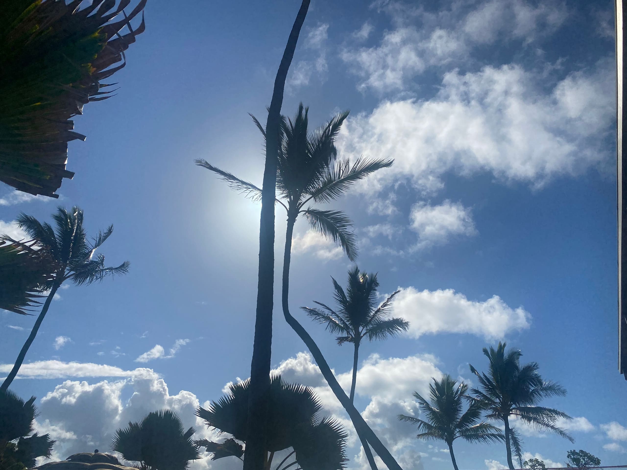 Condo in Kapaa · ★4.97 · 2 bedrooms · 2 beds · 1 private bath - Image 44