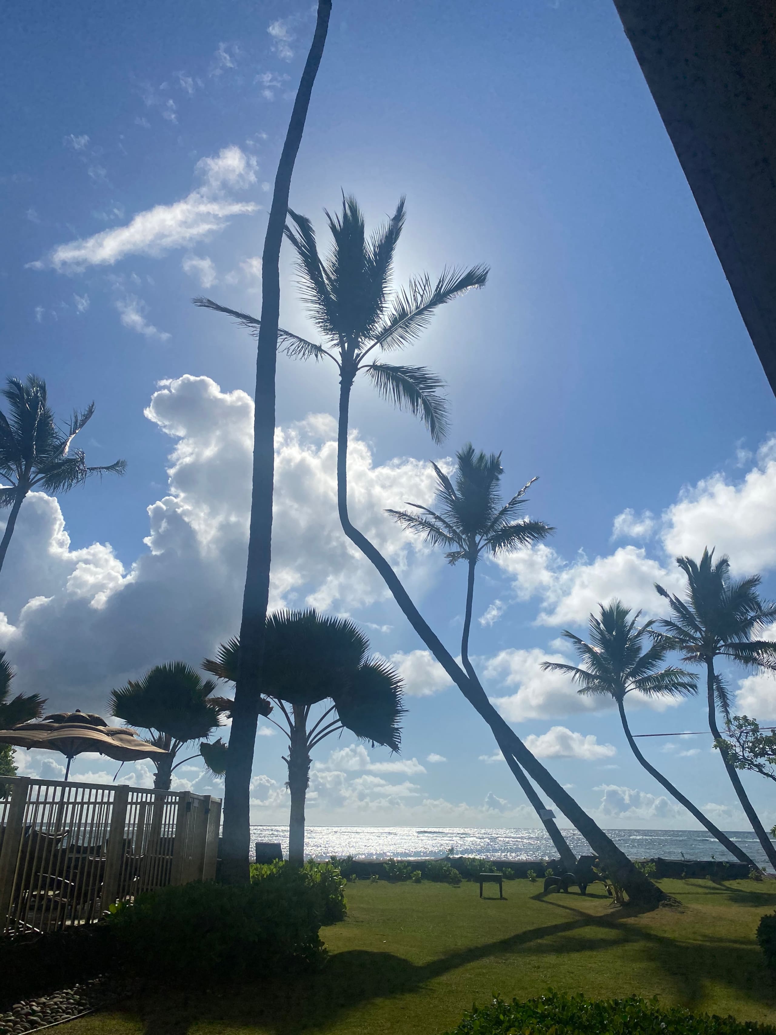 Condo in Kapaa · ★4.97 · 2 bedrooms · 2 beds · 1 private bath - Image 31