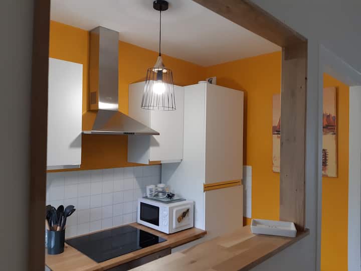 Appartement Vue Mer Plage Du Ris - Douarnenez