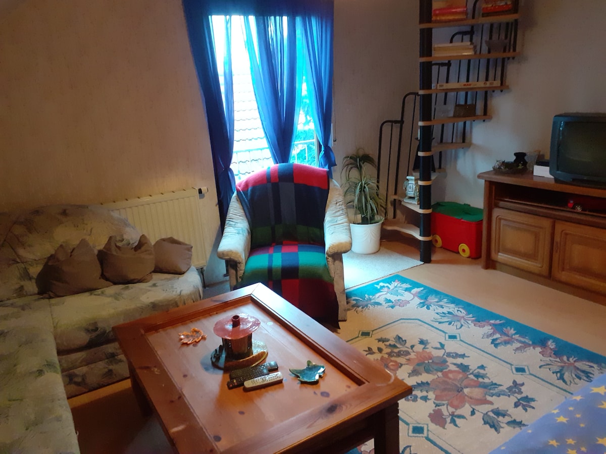 Sala de estar con sofá cama...