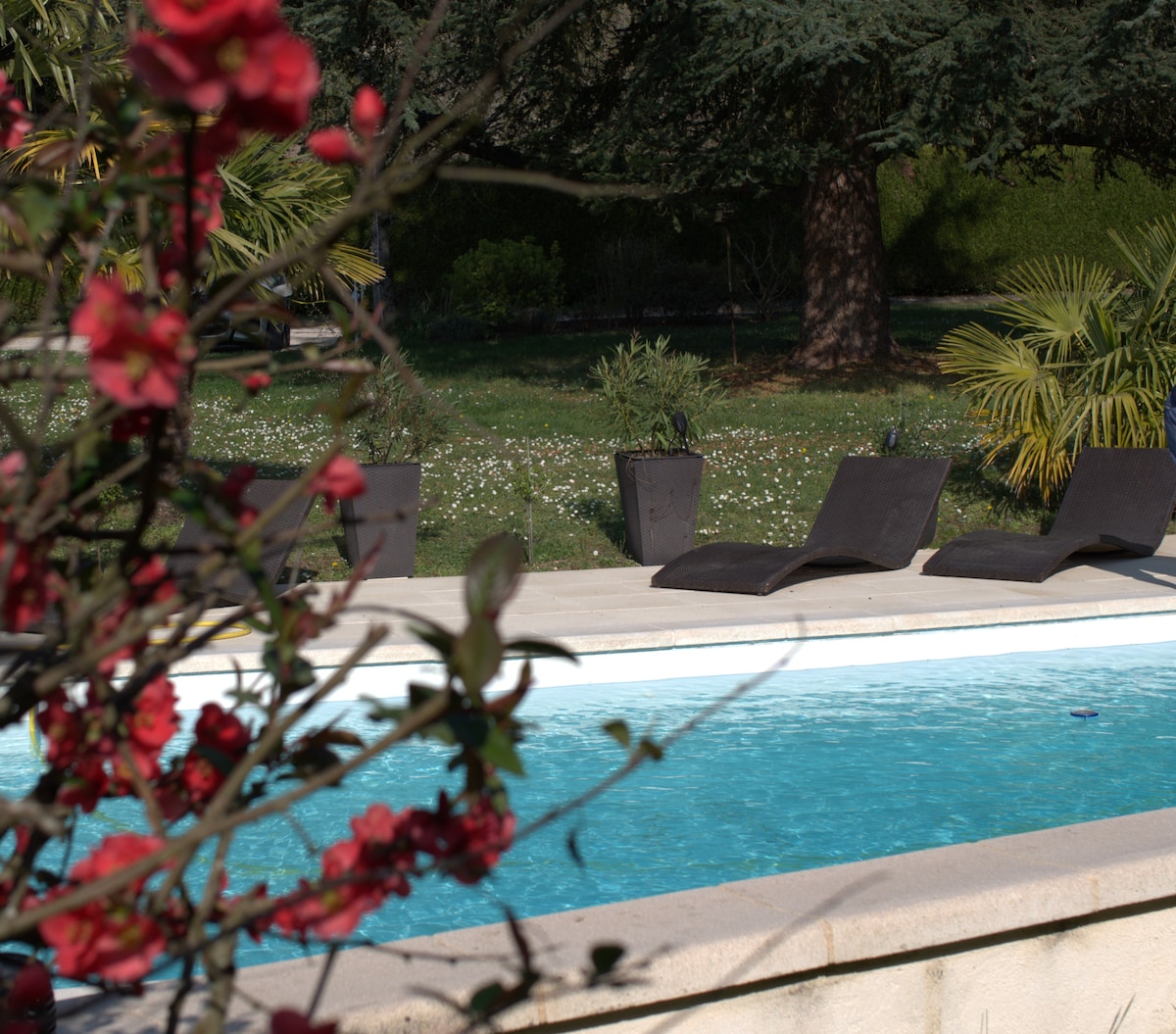 A serene swimming pool is framed by landscaped gardens, featuring several lounge chairs positioned along the edge. Colorful flowers add a natural touch, enhancing the peaceful surroundings.