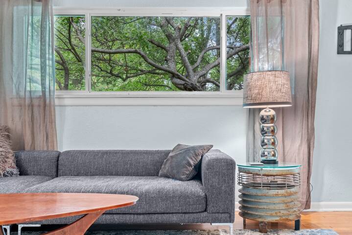 Oak Canopy w/ Cheerful Sprawling Backyard gallery image 5