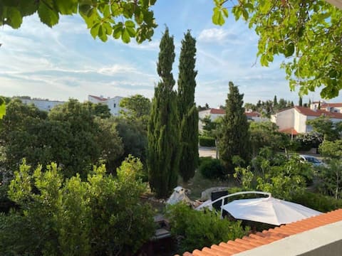 Successful Airbnb property: Studio apartment Gajac/Pag, for 2 + 1 person❤️ in Gajac