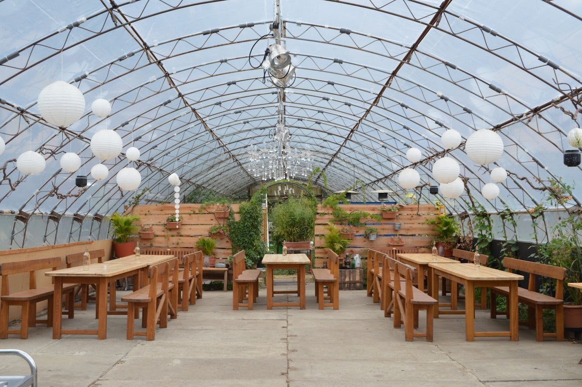 A spacious greenhouse is filled with wooden tables and benches arranged for dining. Soft lighting is provided by hanging lanterns, while greenery and potted plants adorn the walls, enhancing the natural aesthetic of the space.