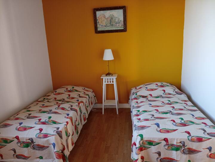 habitaciones con patos