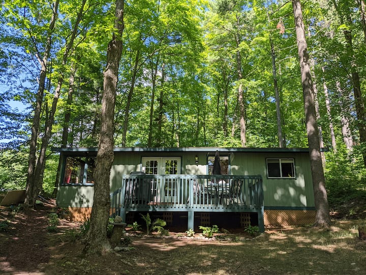 Treetop Cabin Peaceful area near beach & hiking! Cottages for Rent