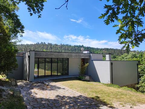 bosq house : a house in the forest