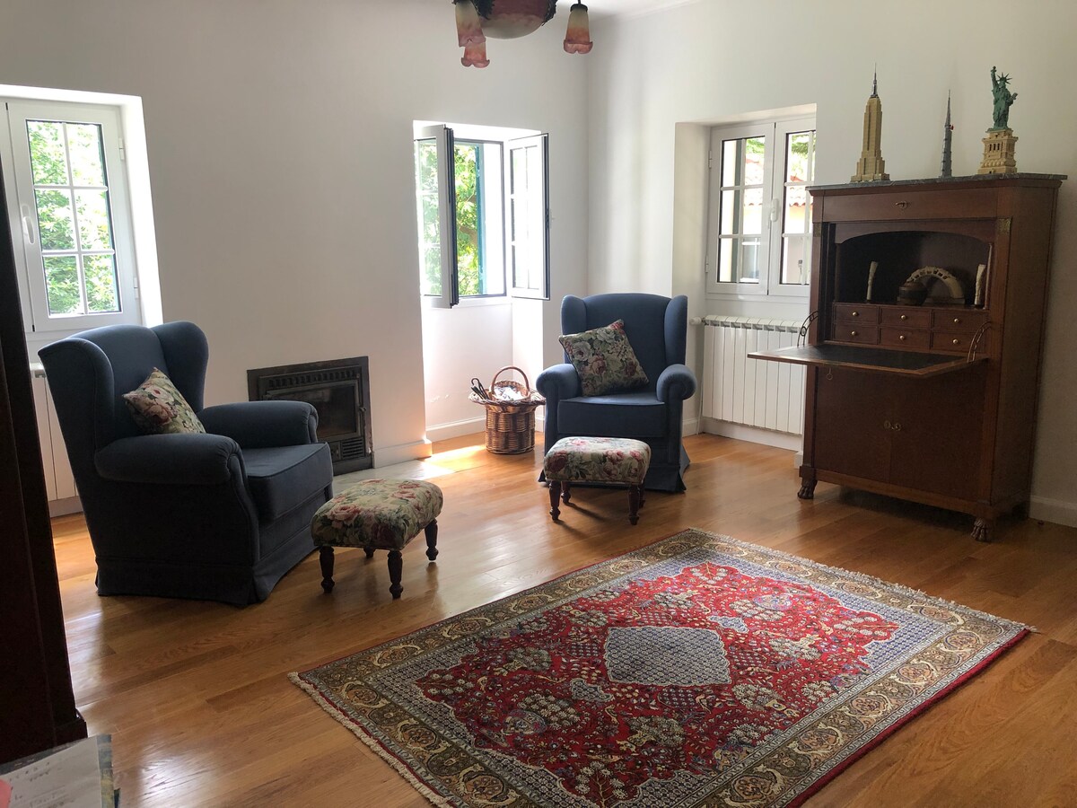 A room features two blue armchairs and a matching ottoman, arranged around a patterned area rug. Natural light enters through two open windows, illuminating warm wooden floors and highlighting an antique wooden cabinet against the wall.