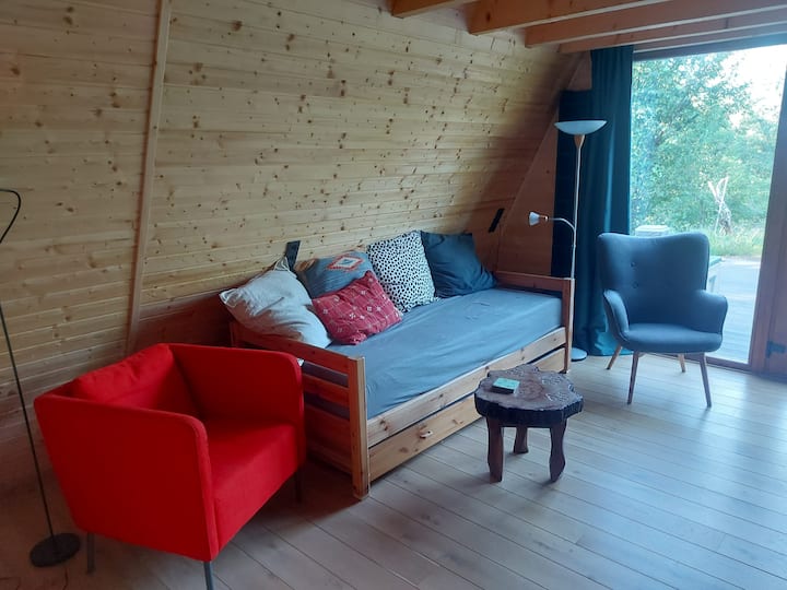 Pumbaa House, Prahova, Romania - Câmpina