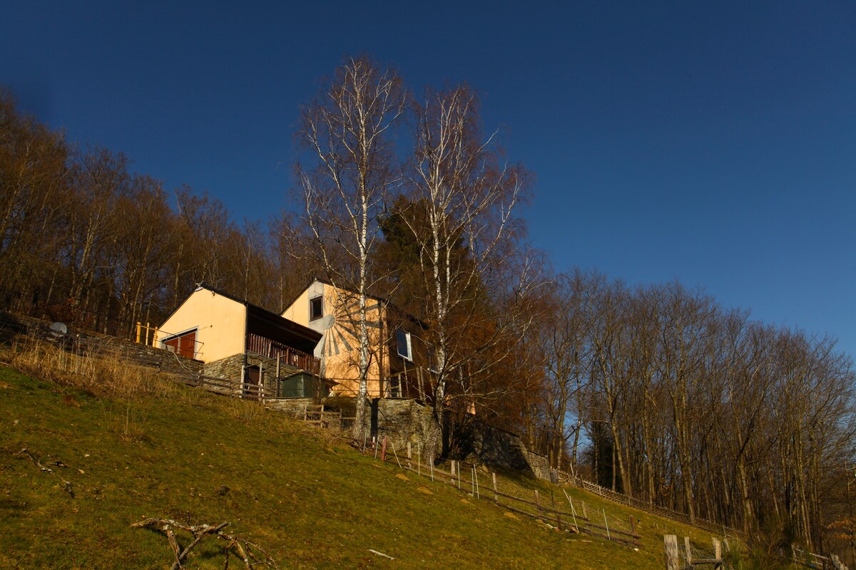 The exterior of a two-story house is set against a clear blue sky, surrounded by trees and open grass. The building features a mix of glass and wall materials, with large windows offering a view of the hillside.
