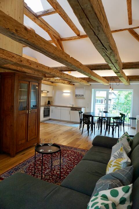 Impressive apartment in the Rhine Valley