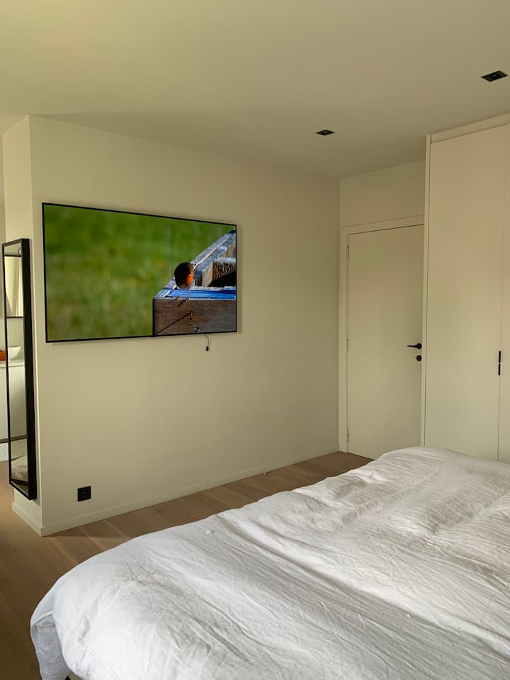 master met oled tv