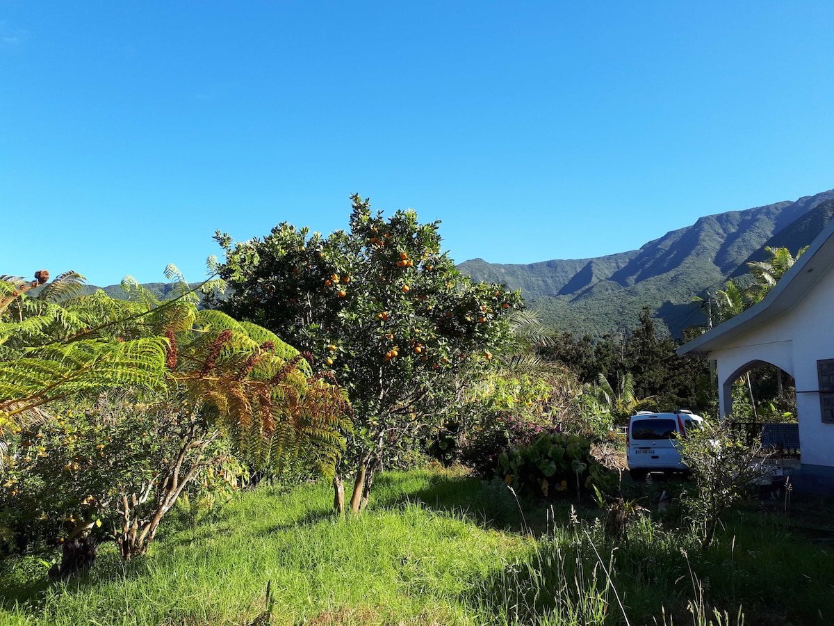 A lush garden features vibrant green grass and various fruit trees, including one heavy with oranges. The backdrop showcases rolling hills and mountains under a clear blue sky, with a vehicle parked nearby, integrating nature with the home's surrounding landscape.