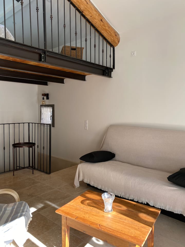 L'appart Superbe Appartement Mi Ville Mi Campagne - Forcalquier