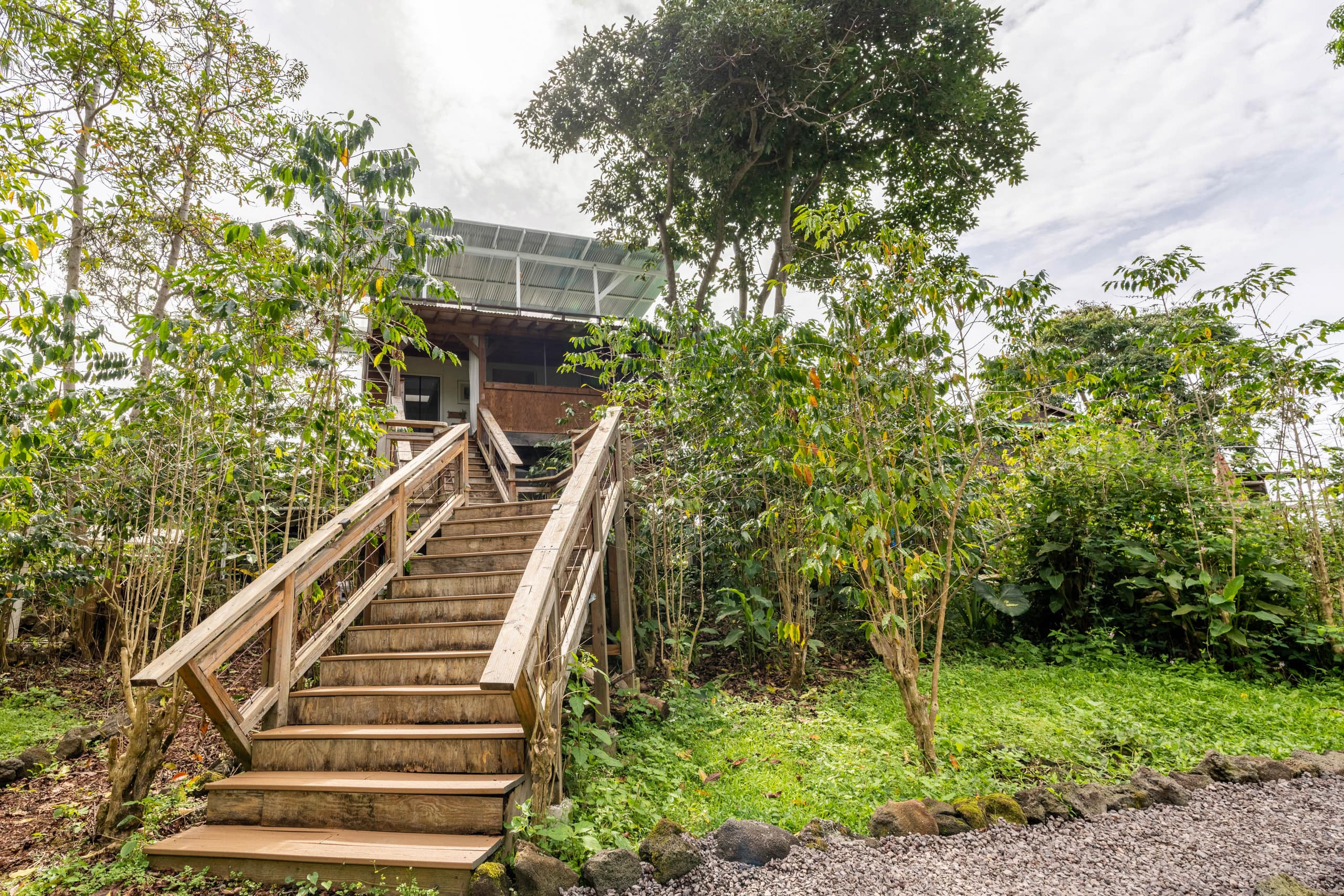 Io’s Nest- studio on a coffee farm with ocean view - Image 23