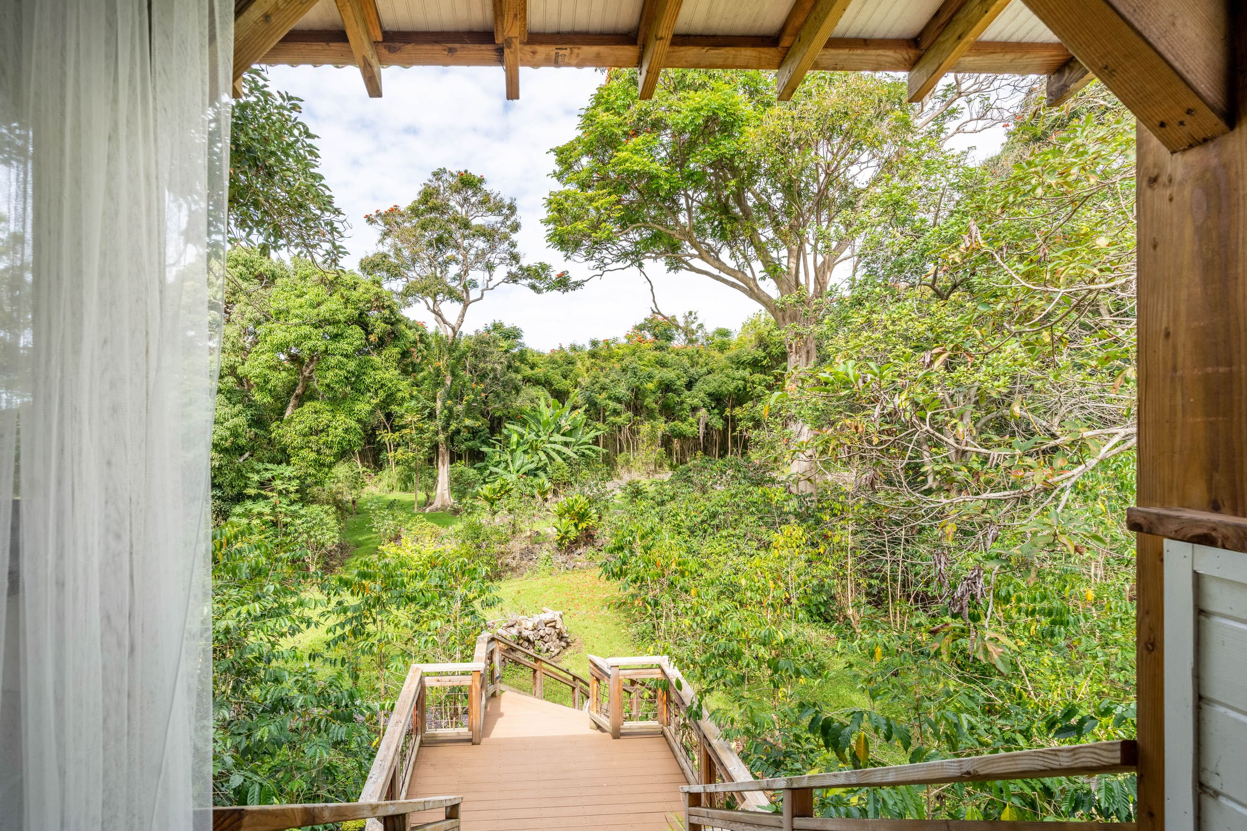 Io’s Nest- studio on a coffee farm with ocean view - Image 22