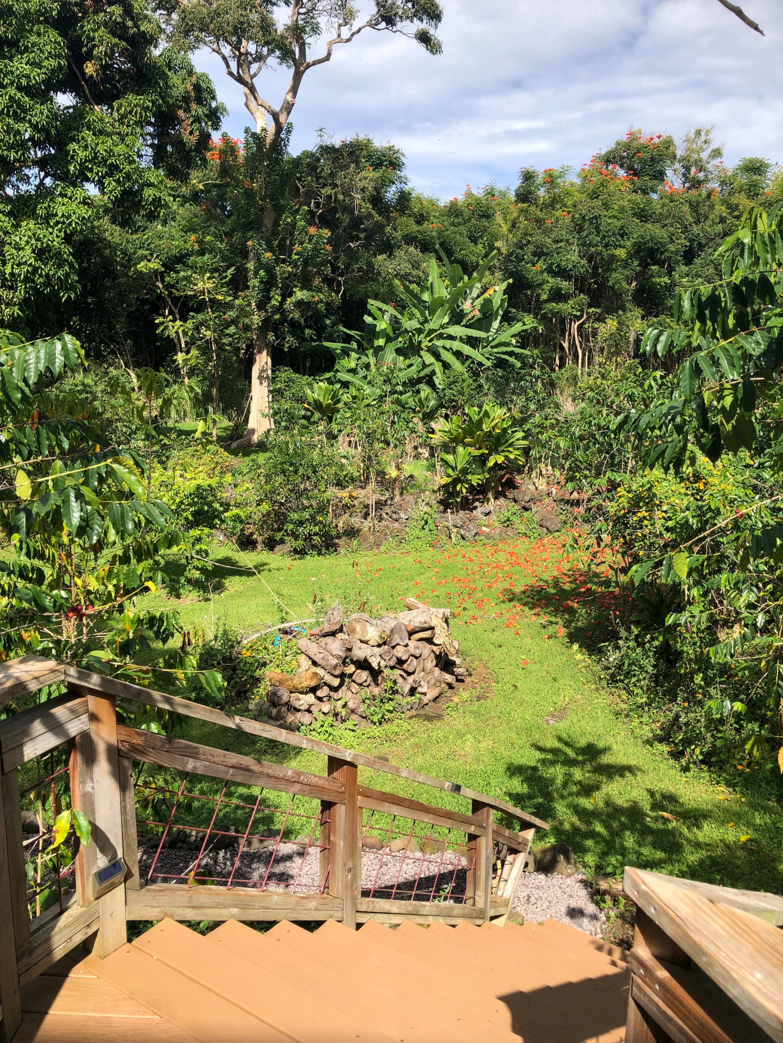 Io’s Nest- studio on a coffee farm with ocean view - Image 15