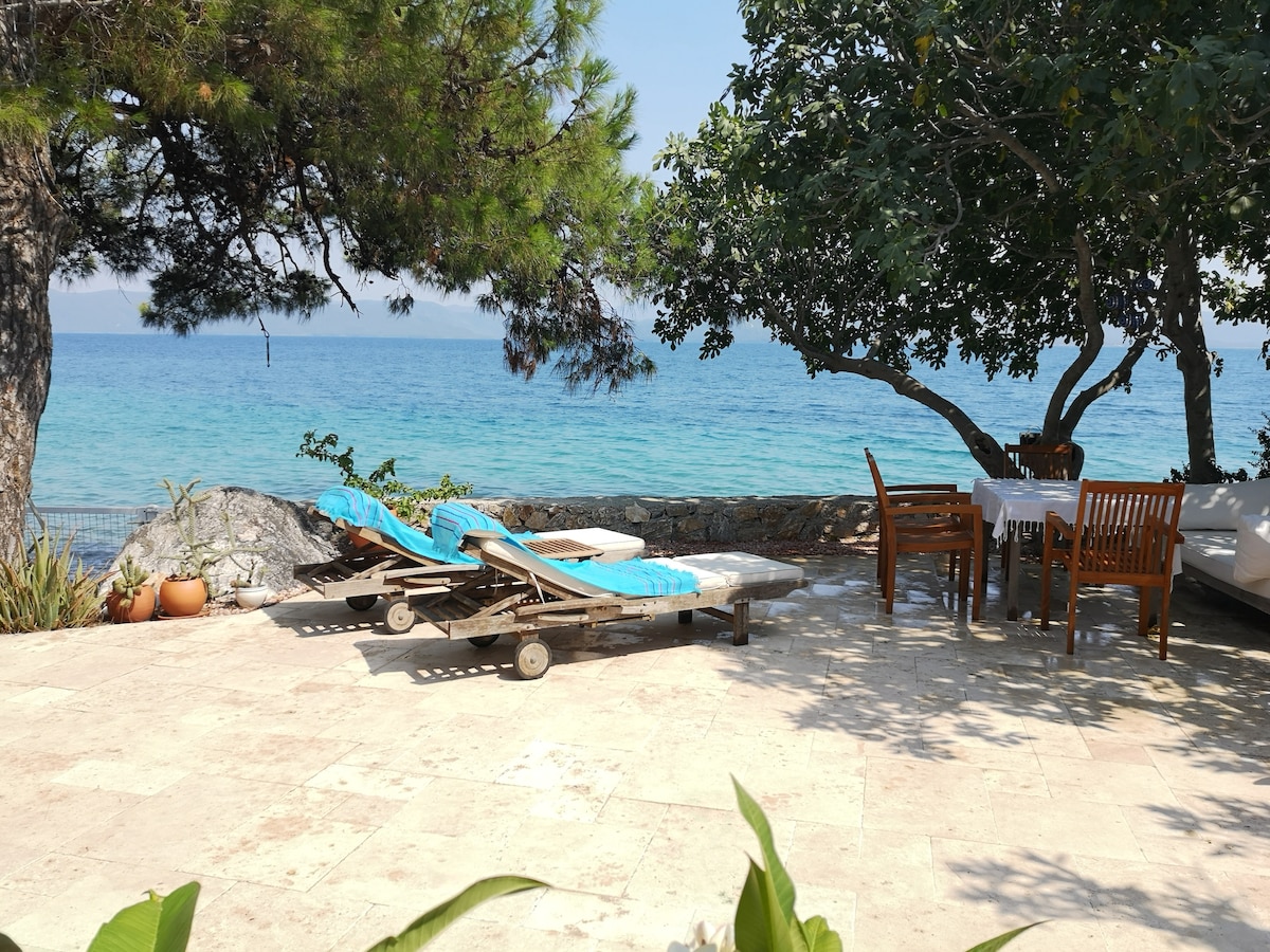 Lounge chairs with blue cushions are positioned on a sun-drenched terrace overlooking the tranquil sea. A wooden dining table and chairs are set under the shade of trees, surrounded by natural stone and coastal views, enhancing a serene outdoor atmosphere.