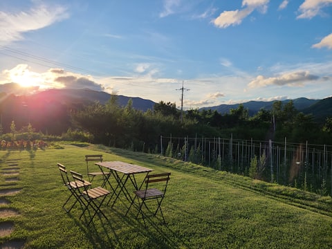 Bordeaux Apple Stay #View Restaurant #Healing