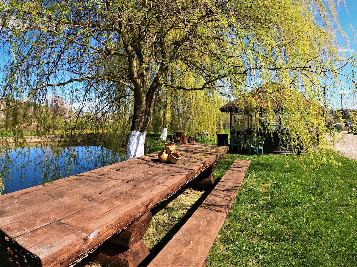 A long wooden table is positioned outdoors under a willow tree, offering a shaded spot beside a tranquil body of water. Nearby, a rustic building with a thatched roof is visible, complemented by several green chairs and various plants on the ground.