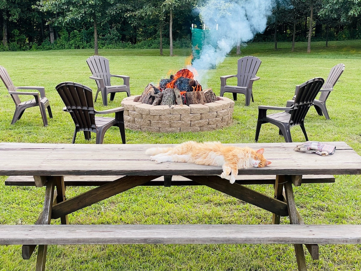 A rustic fire pit area is surrounded by several dark outdoor chairs, with a spacious picnic table in the foreground. A cat rests lazily on the table, while smoke rises gently from the fire pit. Lush green grass surrounds the scene.