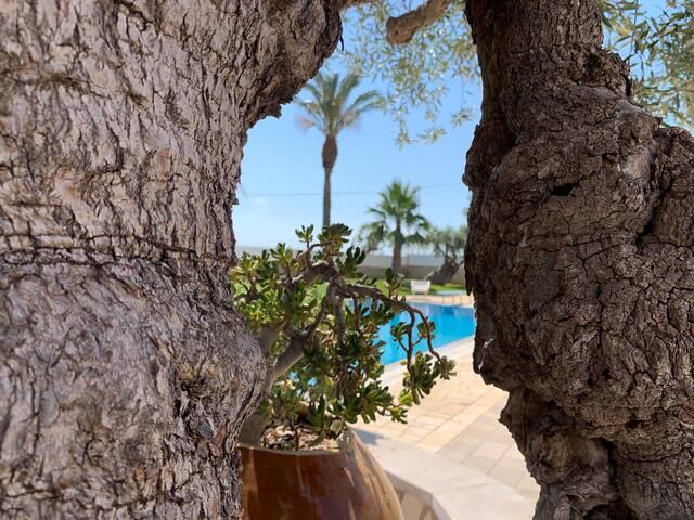 Villa Ilaria gallery image 2