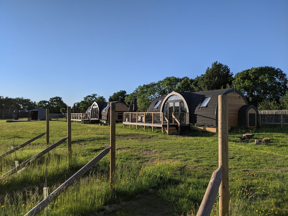 A row of glamping pods is set in a green grassy area, surrounded by wooden fencing. Each pod has a private deck, and trees are visible in the background under a clear blue sky.