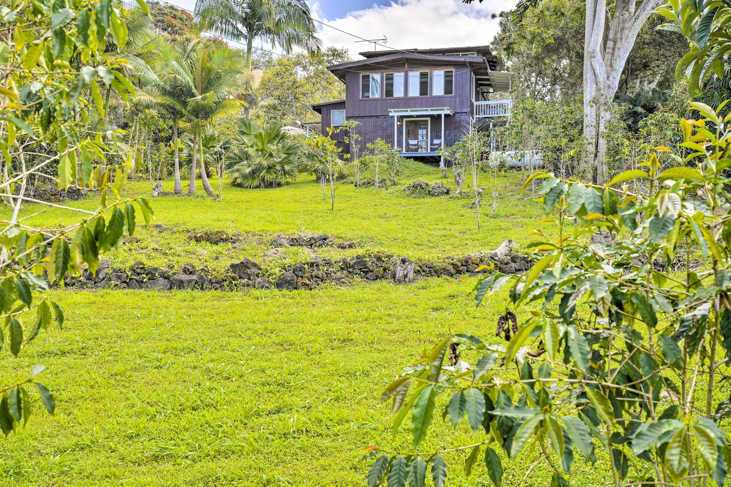 Studio on coffee farm with ocean view lanai - Photo 14