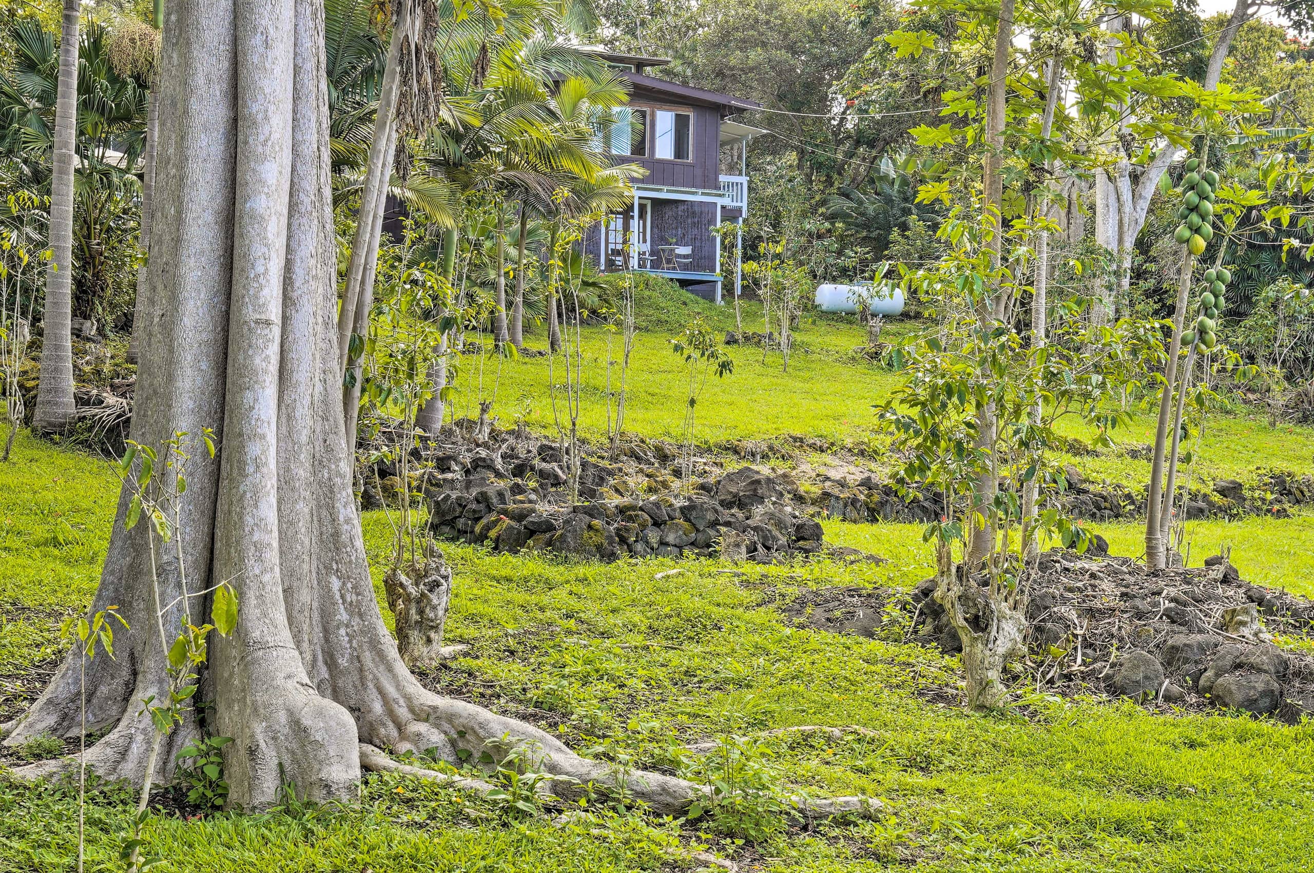 Studio on coffee farm with ocean view lanai - Photo 11