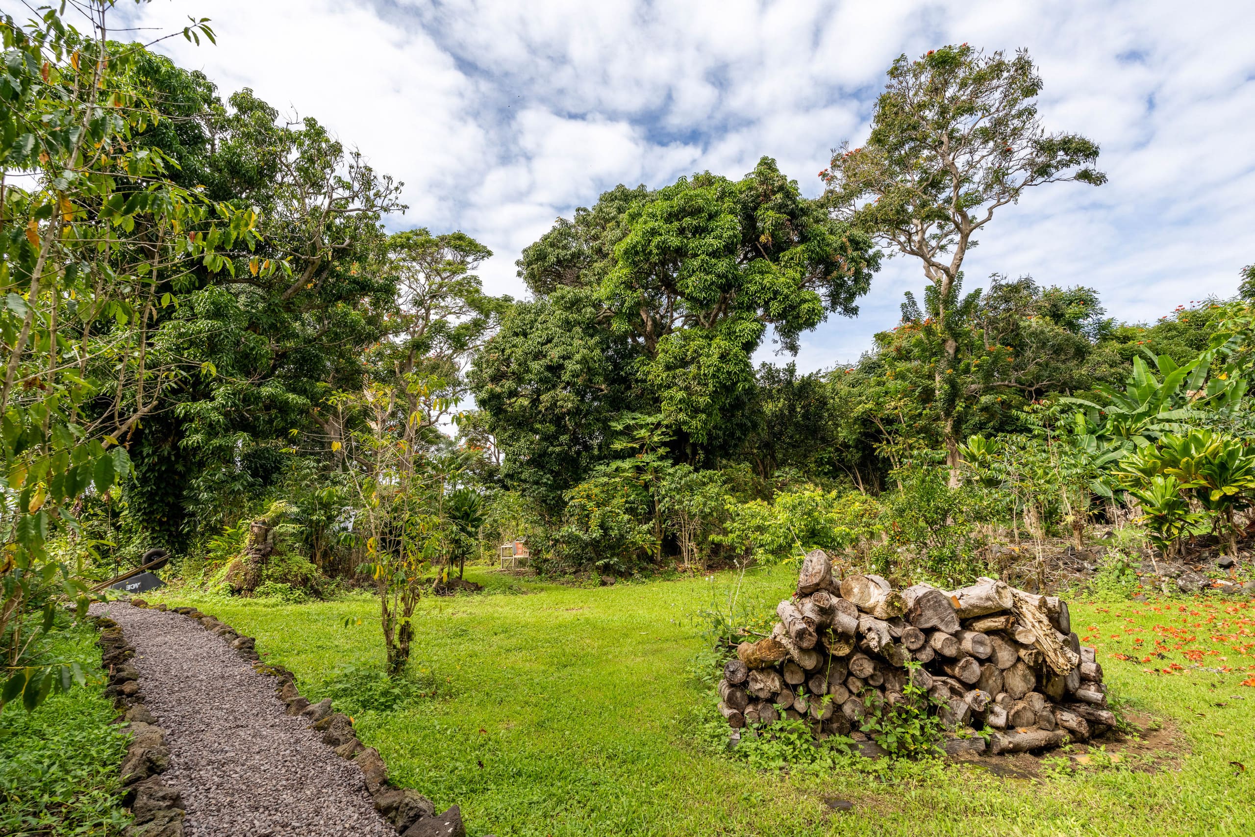 Studio on coffee farm with ocean view lanai - Photo 22