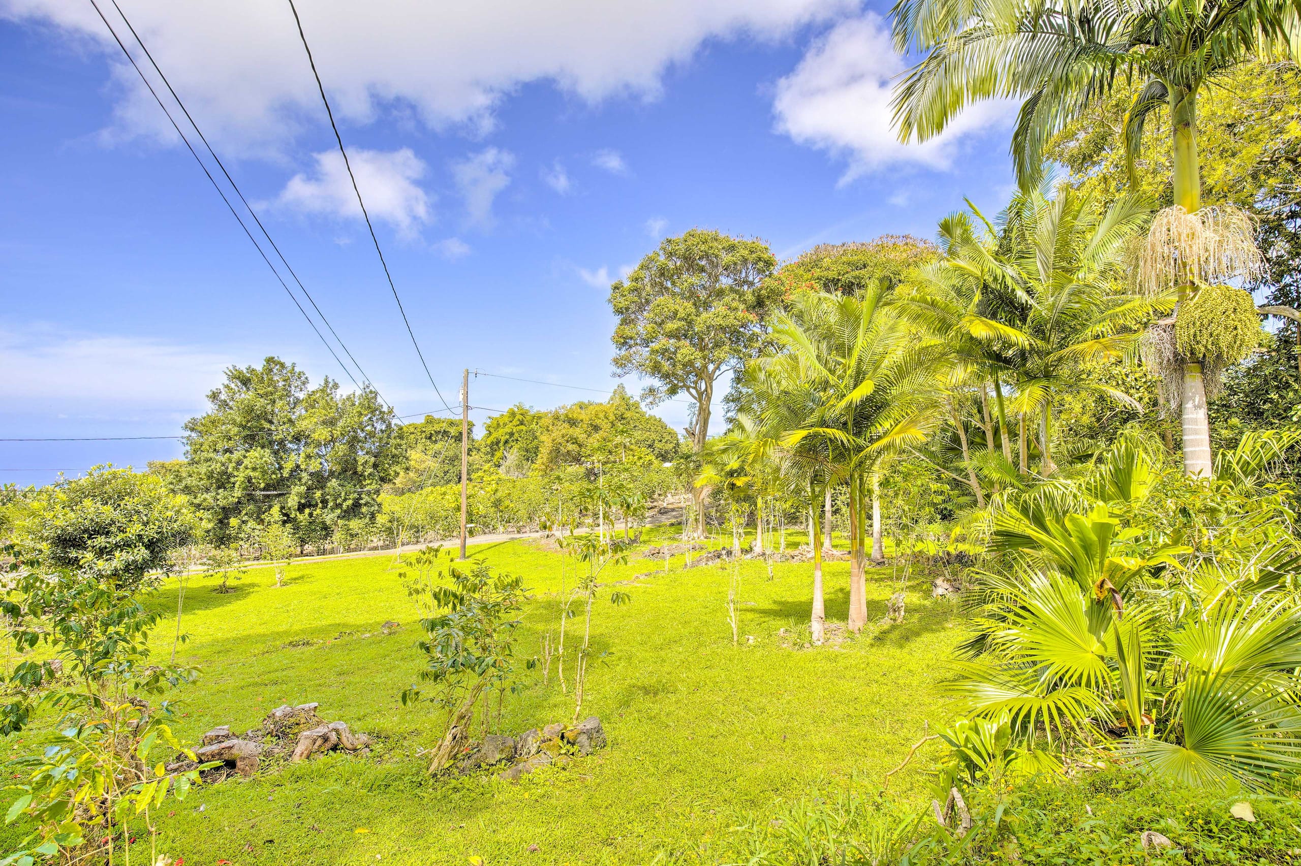 Studio on coffee farm with ocean view lanai - Photo 12
