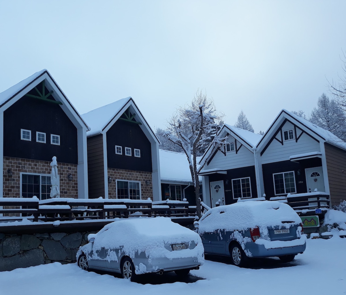 Two separate, multi-story villas are surrounded by a thick blanket of snow, highlighting their unique architectural styles. Vehicles parked in front are also covered in snow, creating a serene winter landscape. The sky is overcast, contributing to the calm atmosphere.