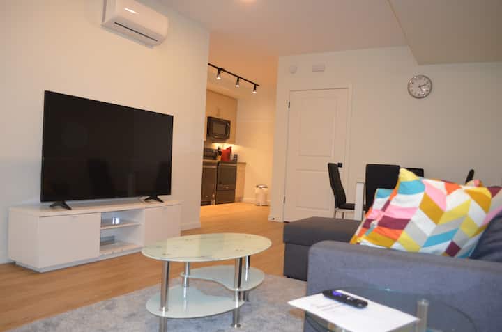 Exquisitely Furnished Double Condo @ Bridgwater - Winnipeg