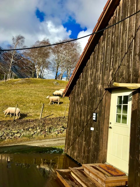 Large and nice apartment. Close to amazing nature