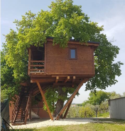 Treehouse Costa dei Trabocchi