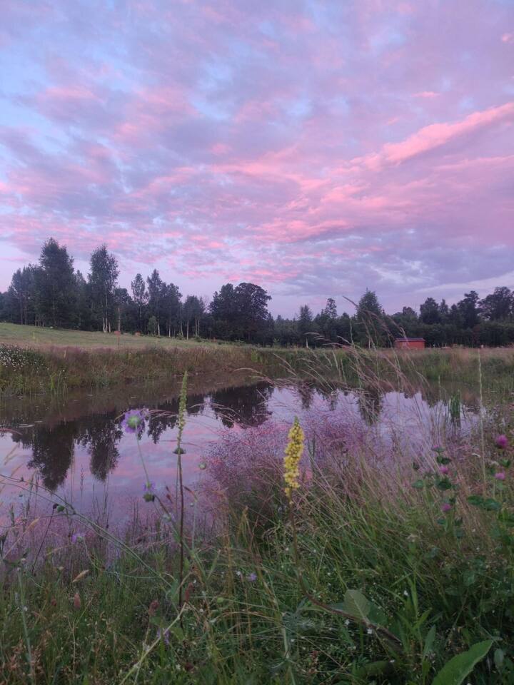 Countryside paradise peaceful river bank Cabins for Rent in