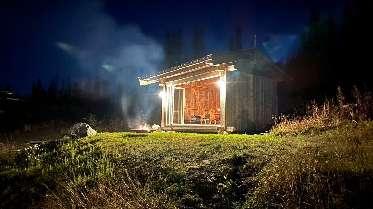 A cozy cabin is illuminated at night, showcasing open doors that reveal warm light spilling from within. The surrounding grass and wildflowers gently sway in the breeze, leading to a small fire pit. Tree silhouettes are visible in the background against the starlit sky.
