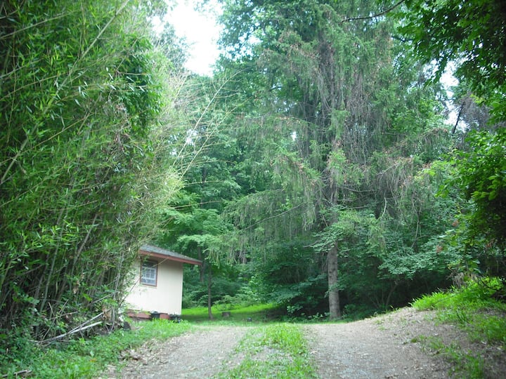 Beautiful mountain one bedroom, nearby lake access
