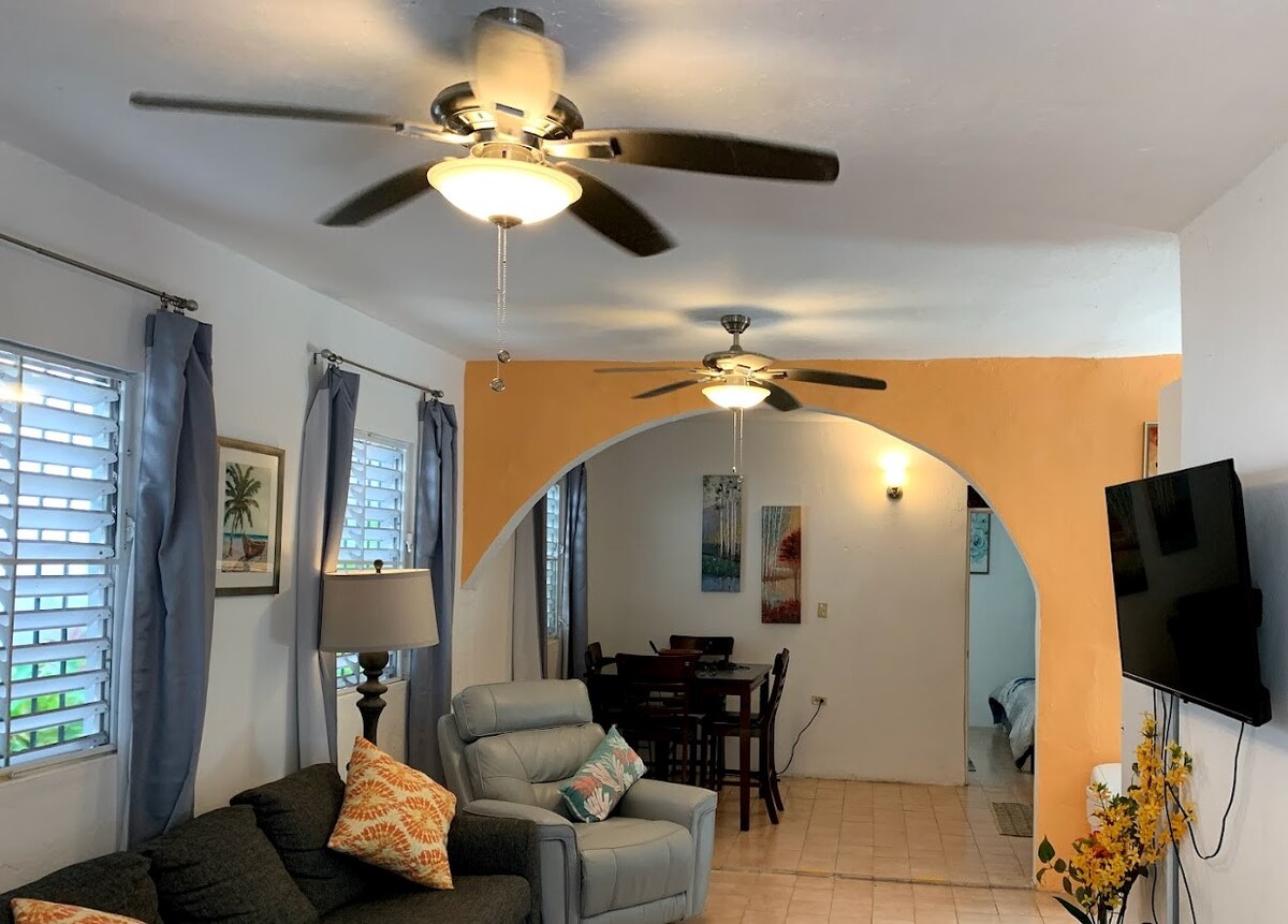 Successful Airbnb property: River side Cottage a place to relax in nature. in Luquillo