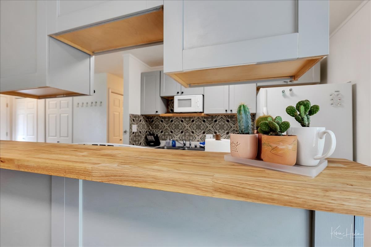 A wooden countertop is showcased, adorned with potted cacti and succulents. The kitchen area is visible in the background, featuring light-colored cabinetry and decorative tile backsplash. Appliances, including a microwave and refrigerator, are also included in the scene.